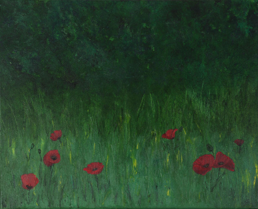 Field of Poppies by Rachel Rehm
